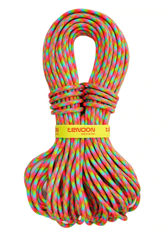Tendon Master 9.7 Single Rope (Complete Shield/Dry Treated)